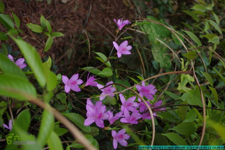 20150411(六只脚桂林同城会)-尧山南北峰穿越IMGP3957