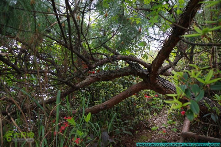 20150411(六只脚桂林同城会)-尧山南北峰穿越IMGP3963