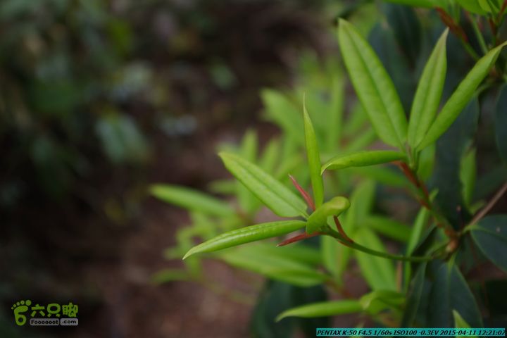20150411(六只脚桂林同城会)-尧山南北峰穿越IMGP3969