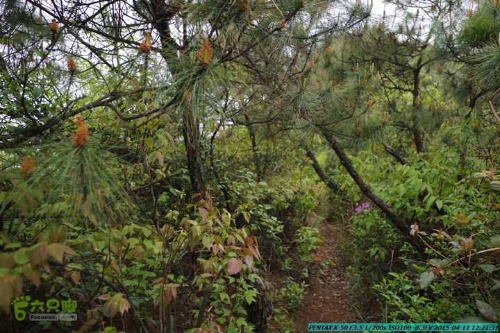 20150411(六只脚桂林同城会)-尧山南北峰穿越IMGP3972