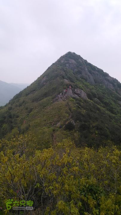 象山涂茨游步道IMG_20150412_085517