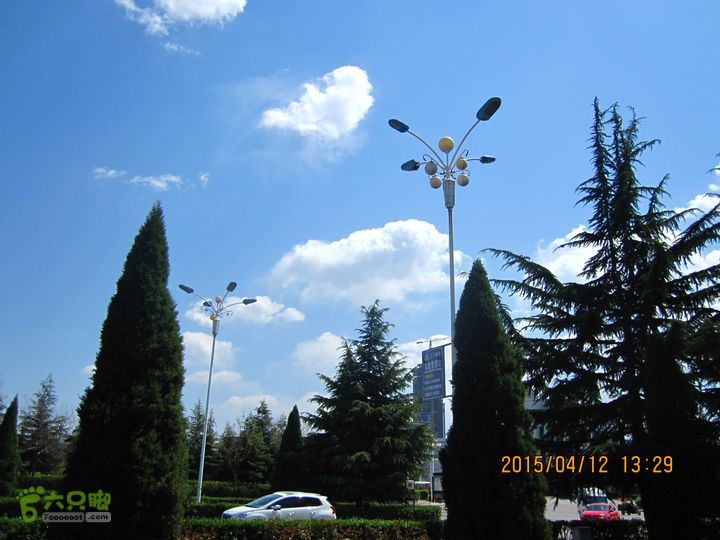 河南三门峡陕州公园   黄河公园 春季徒步赏花游园IMG_2963