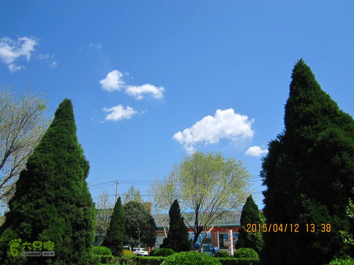 河南三门峡陕州公园   黄河公园 春季徒步赏花游园IMG_2965