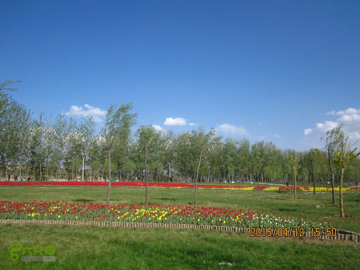 河南三门峡陕州公园   黄河公园 春季徒步赏花游园IMG_3217