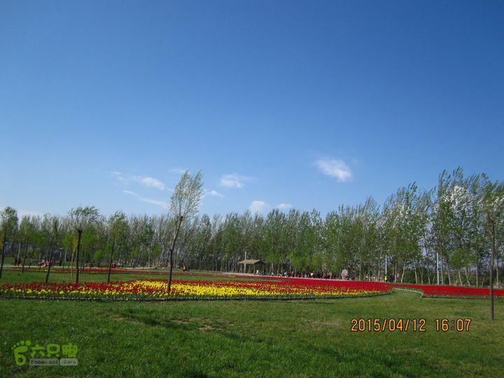 河南三门峡陕州公园   黄河公园 春季徒步赏花游园IMG_3266