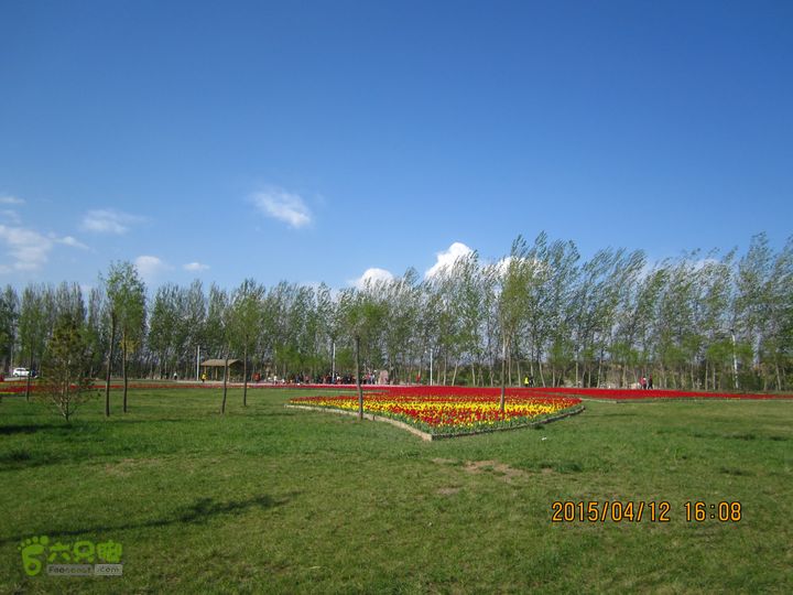 河南三门峡陕州公园   黄河公园 春季徒步赏花游园IMG_3267