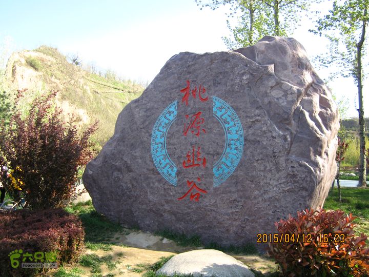 河南三门峡陕州公园   黄河公园 春季徒步赏花游园IMG_3297