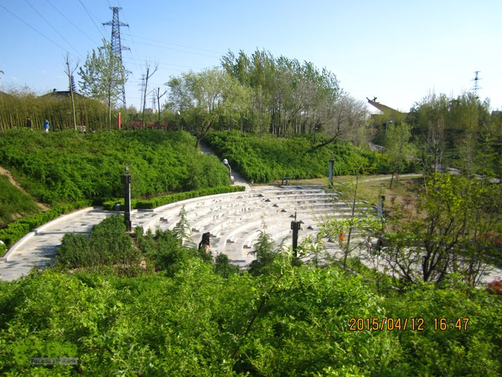 河南三门峡陕州公园   黄河公园 春季徒步赏花游园IMG_3313