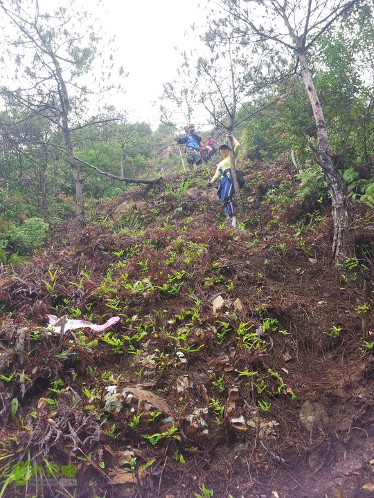 屿山-茅坪-埭头20150418_123234