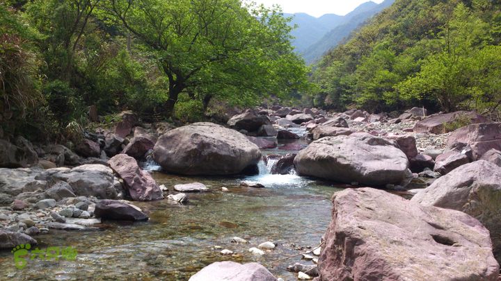 2015,04,14 葛竹村-潘家坑-茶厂里-桐盘-葛竹村23行程的4.6公里处