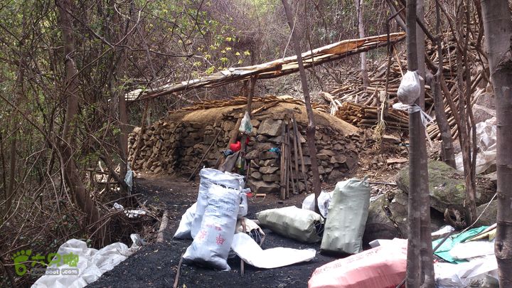 2015,04,14 葛竹村-潘家坑-茶厂里-桐盘-葛竹村27行程的8.2公里处