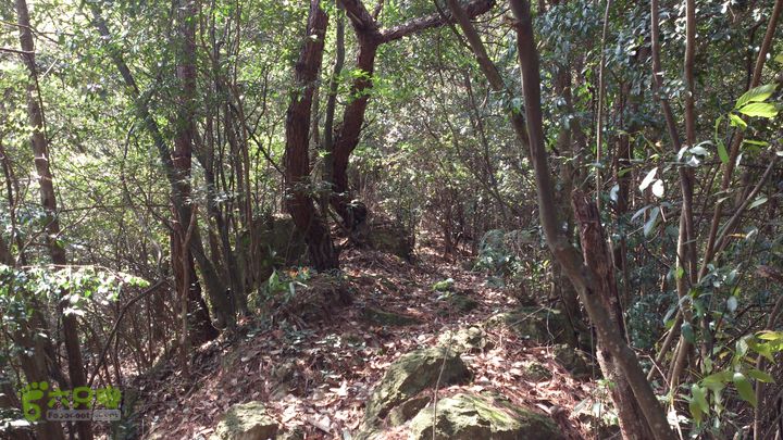 2015,04,14 葛竹村-潘家坑-茶厂里-桐盘-葛竹村30行程的9.9公里处