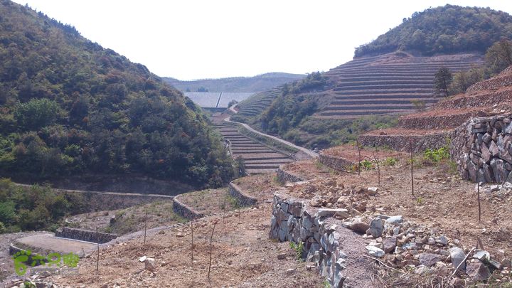 2015,04,14 葛竹村-潘家坑-茶厂里-桐盘-葛竹村32行程的11.5公里处