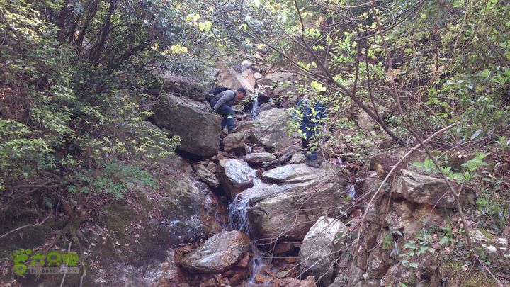 2015,04,14 葛竹村-潘家坑-茶厂里-桐盘-葛竹村33行程的12公里处