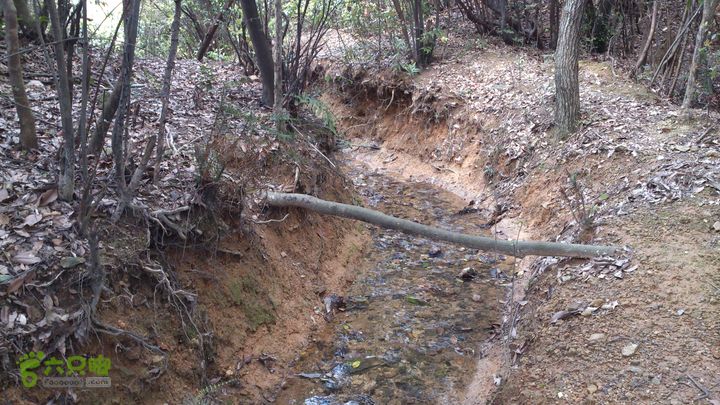 2015,04,14 葛竹村-潘家坑-茶厂里-桐盘-葛竹村35行程的12.5公里处