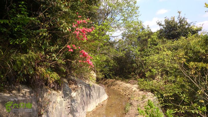 2015,04,14 葛竹村-潘家坑-茶厂里-桐盘-葛竹村36