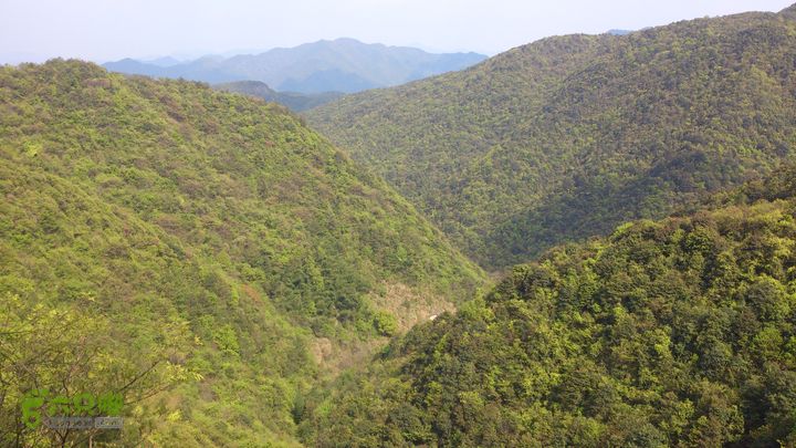 2015,04,14 葛竹村-潘家坑-茶厂里-桐盘-葛竹村37