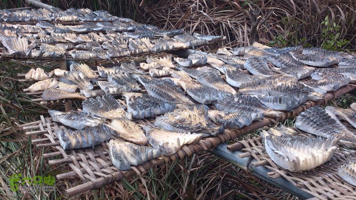 2015,04,14 葛竹村-潘家坑-茶厂里-桐盘-葛竹村40行程的14公里处