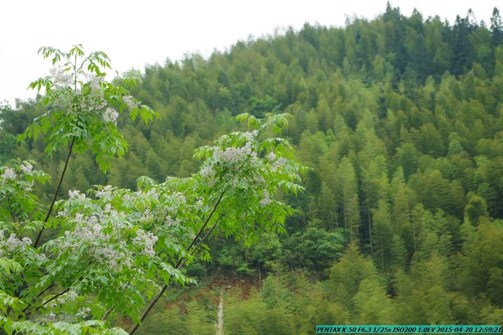 20150420(户外情缘)-龙胜-红军岩-周家-毛寨-细门IMGP5869
