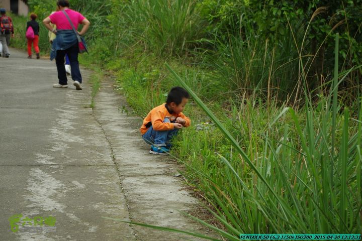 20150420(户外情缘)-龙胜-红军岩-周家-毛寨-细门IMGP5887