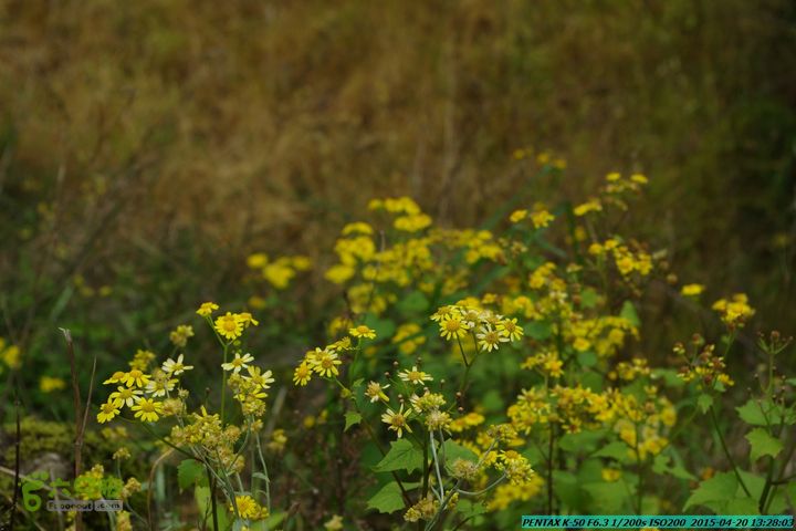 20150420(户外情缘)-龙胜-红军岩-周家-毛寨-细门IMGP5902