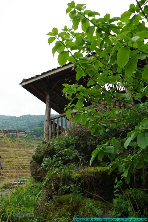 20150420(户外情缘)-龙胜-红军岩-周家-毛寨-细门IMGP5915