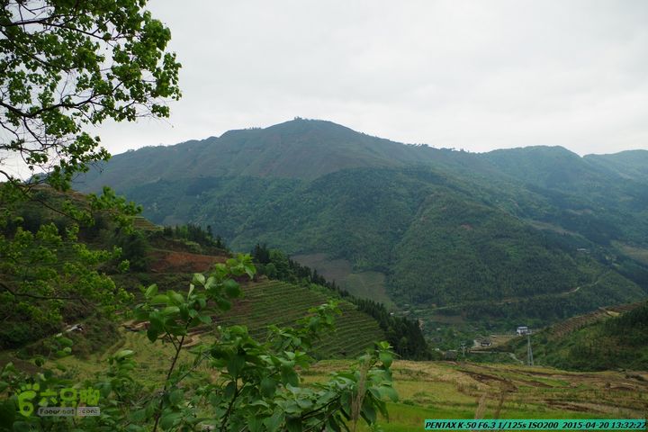 20150420(户外情缘)-龙胜-红军岩-周家-毛寨-细门IMGP5916