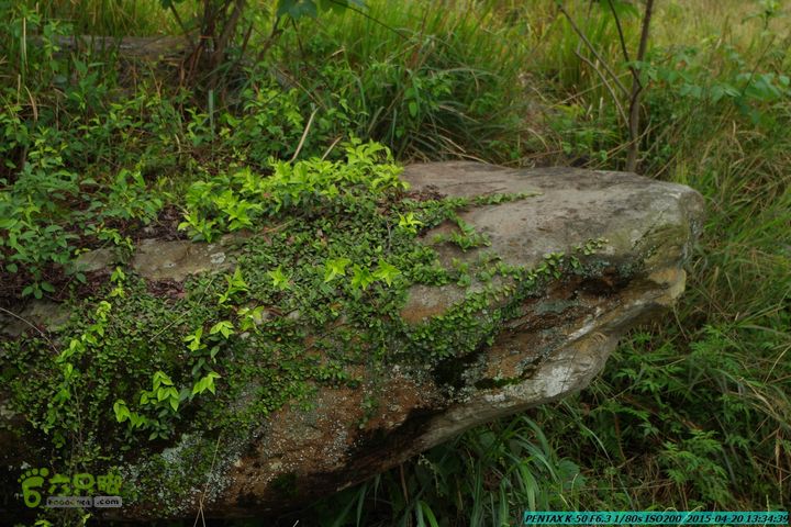 20150420(户外情缘)-龙胜-红军岩-周家-毛寨-细门IMGP5918