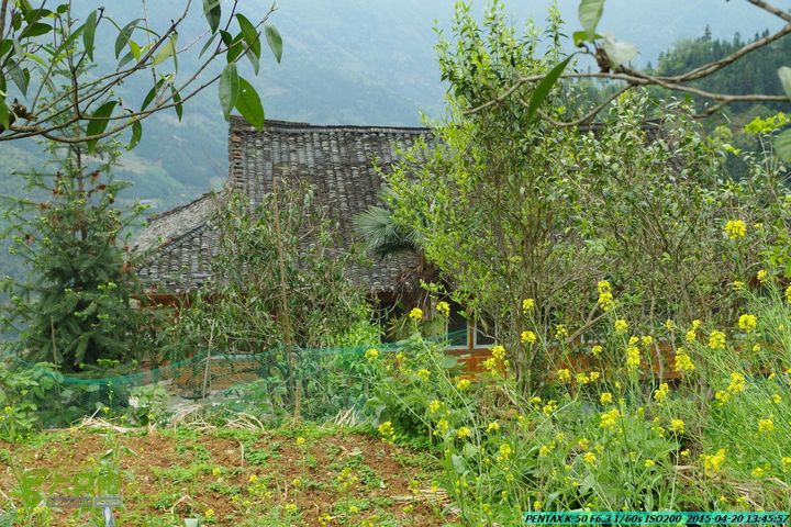 20150420(户外情缘)-龙胜-红军岩-周家-毛寨-细门IMGP5929