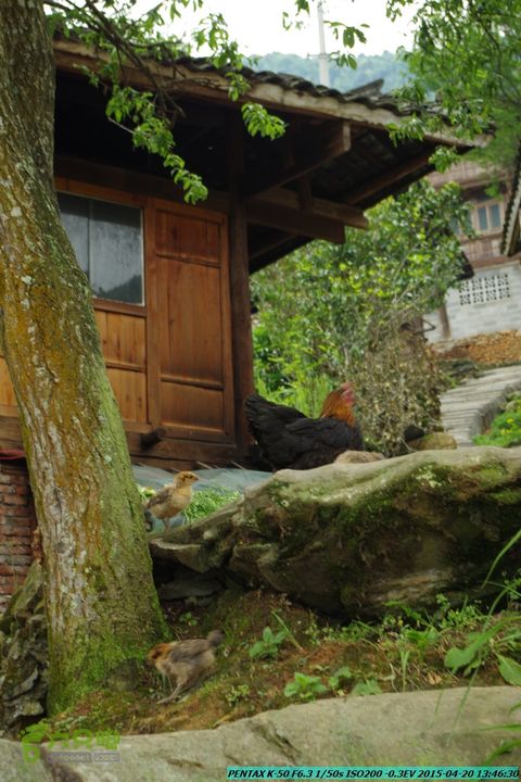 20150420(户外情缘)-龙胜-红军岩-周家-毛寨-细门IMGP5931