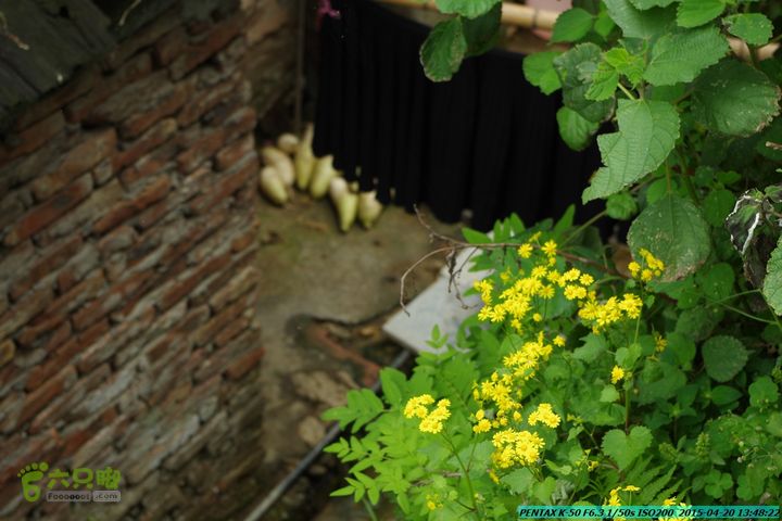 20150420(户外情缘)-龙胜-红军岩-周家-毛寨-细门IMGP5934