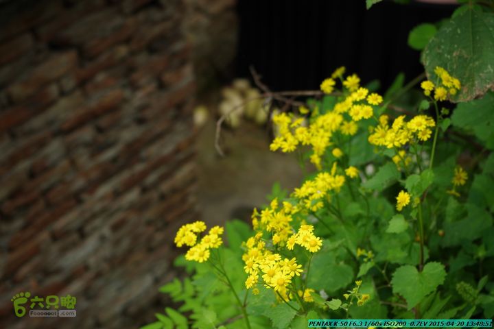 20150420(户外情缘)-龙胜-红军岩-周家-毛寨-细门IMGP5936