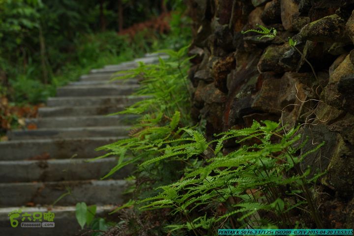 20150420(户外情缘)-龙胜-红军岩-周家-毛寨-细门IMGP5939