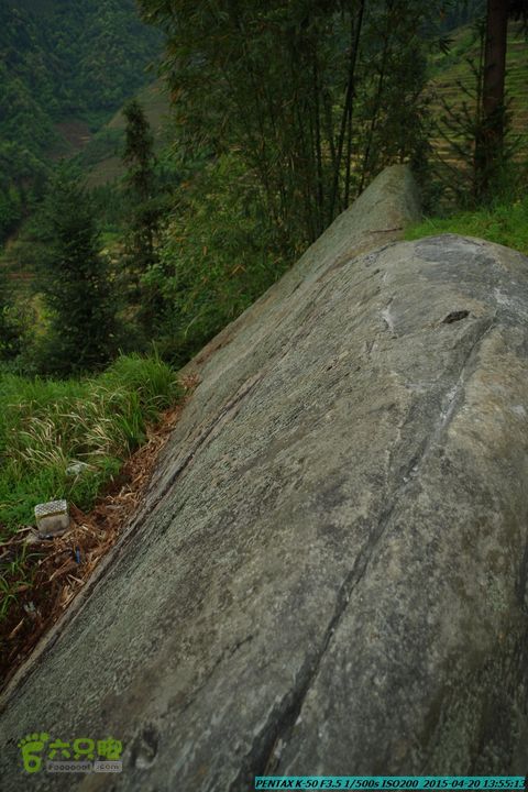 20150420(户外情缘)-龙胜-红军岩-周家-毛寨-细门IMGP5942