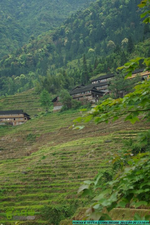 20150420(户外情缘)-龙胜-红军岩-周家-毛寨-细门IMGP5945