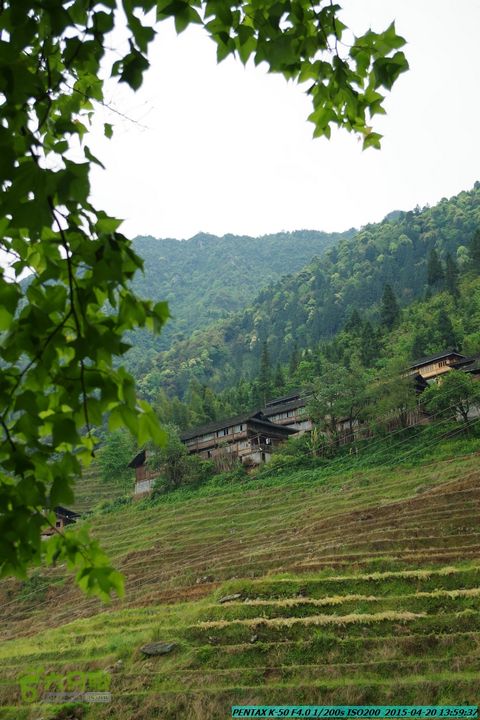 20150420(户外情缘)-龙胜-红军岩-周家-毛寨-细门IMGP5946