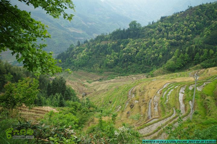 20150420(户外情缘)-龙胜-红军岩-周家-毛寨-细门IMGP5948