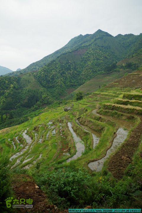 20150420(户外情缘)-龙胜-红军岩-周家-毛寨-细门IMGP5949