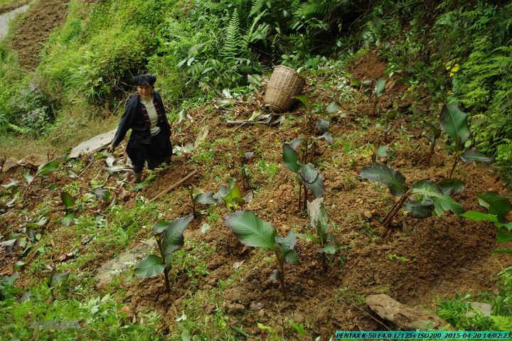 20150420(户外情缘)-龙胜-红军岩-周家-毛寨-细门IMGP5951