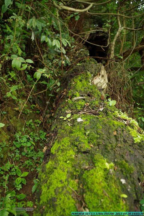 20150420(户外情缘)-龙胜-红军岩-周家-毛寨-细门IMGP5953