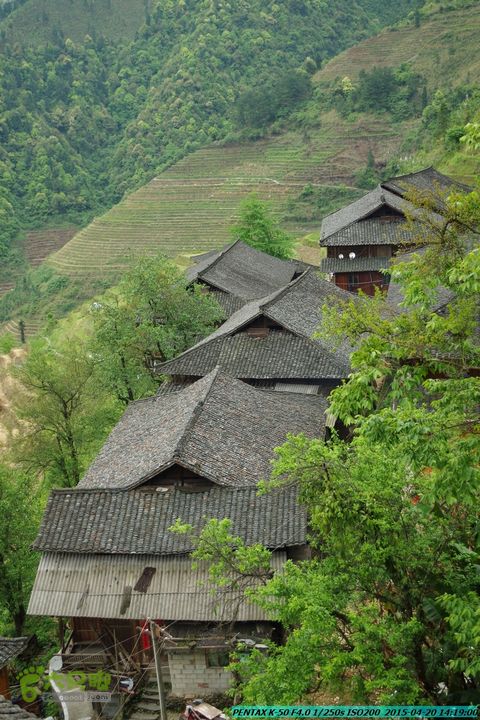 20150420(户外情缘)-龙胜-红军岩-周家-毛寨-细门IMGP5958