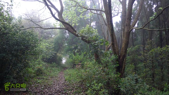 雁荡山狮子山五马尖筋竹涧走到这里下起暴雨