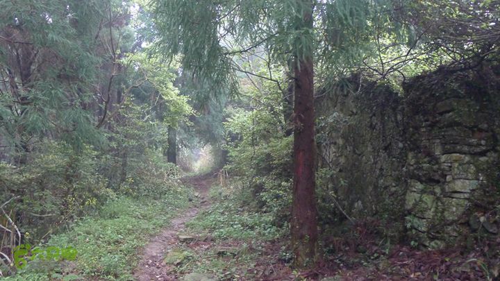 雁荡山狮子山五马尖筋竹涧这里有几座破房子，但地图上没标明