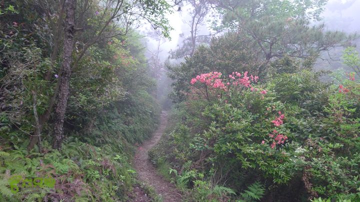 雁荡山狮子山五马尖筋竹涧有明显的古道