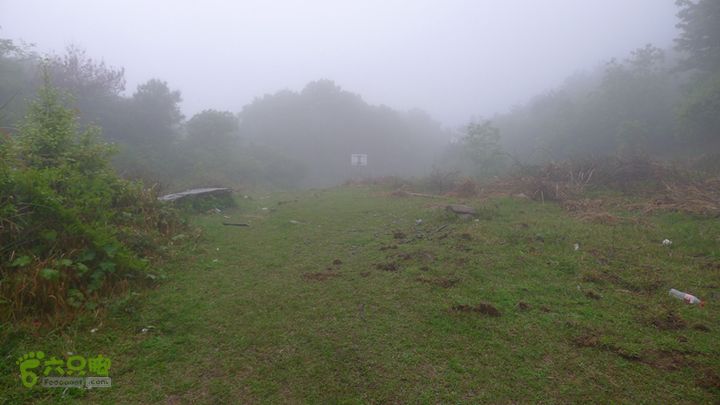 雁荡山狮子山五马尖筋竹涧一个草地是三岔路口