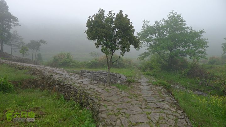 雁荡山狮子山五马尖筋竹涧往左前往飞泉寺，往前直走可以下山到下灵岩村