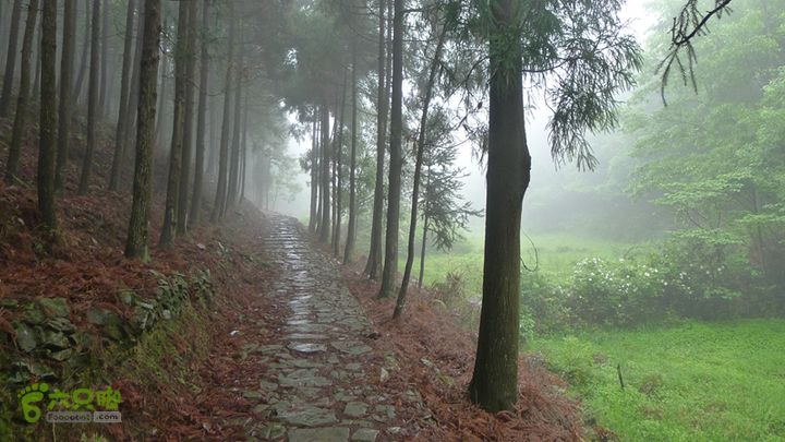 雁荡山狮子山五马尖筋竹涧清新的古道