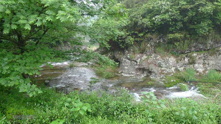 雁荡山狮子山五马尖筋竹涧燕尾瀑的上游