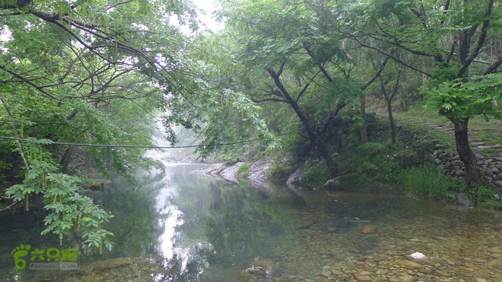雁荡山狮子山五马尖筋竹涧筋竹涧行程开始了