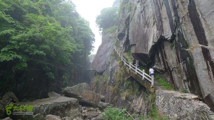 雁荡山狮子山五马尖筋竹涧阴雨天，游客稀少